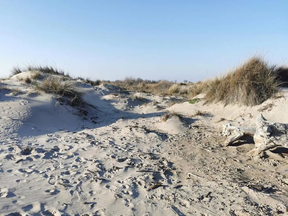Plages De Camargue Et Logement Dans Un Site Calme De Reve Arles Apartment